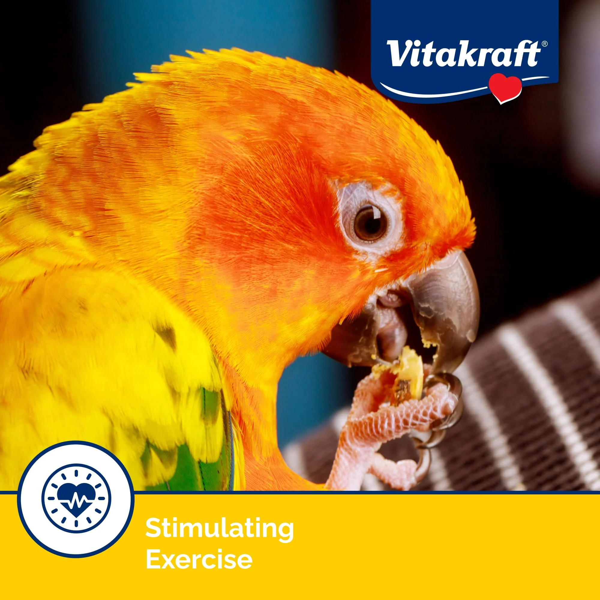 Vitakraft Crunch Sticks Conure Treat 2 Sticks - Apple and Orange Flavor – Triple Baked for Crunch – with Added Vitamins and Minerals Natural with Wood Chew Center – Includes Cage Clip Holder - Image 4
