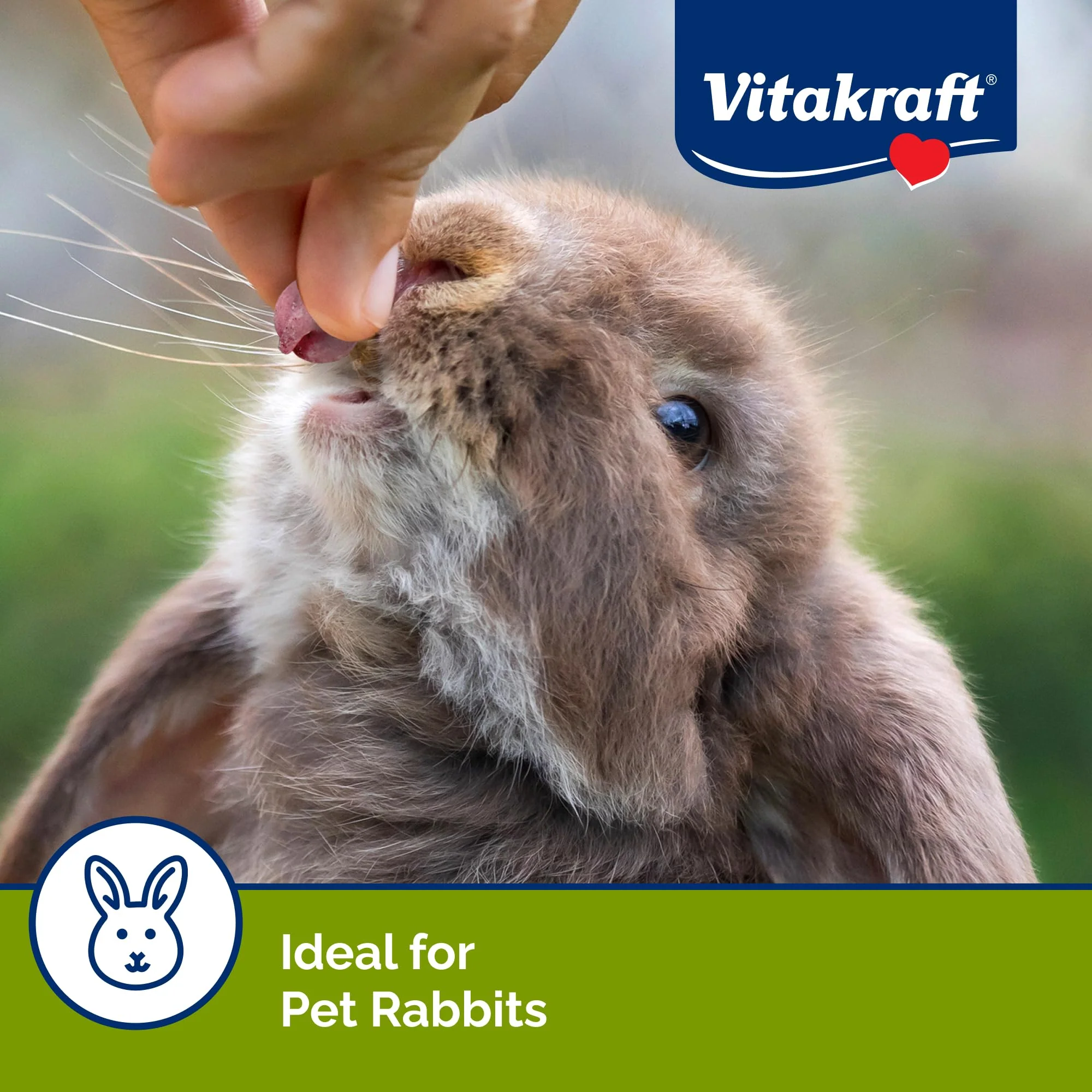 Vitakraft Drops Rabbit Treats with Wildberry Flavor – 5.3 oz Delicious Yogurt-Based Snacks for Rabbits, Guinea pigs, Hamsters, Gerbils, Mice, Rats, Chinchillas, and other Small Animals. - Image 6
