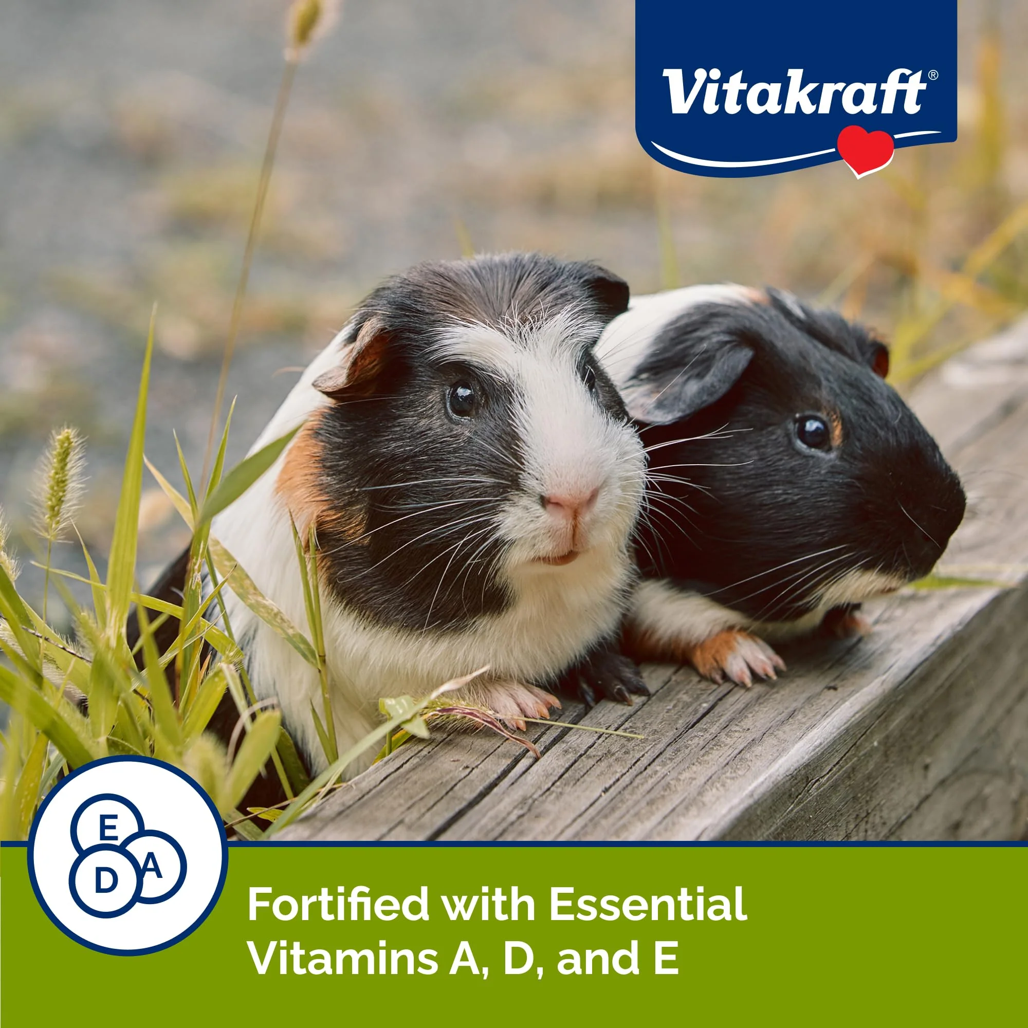 Vitakraft Menu Premium Guinea Pig Food - Alfalfa Pellets Blend - Vitamin and Mineral Fortified - Image 7