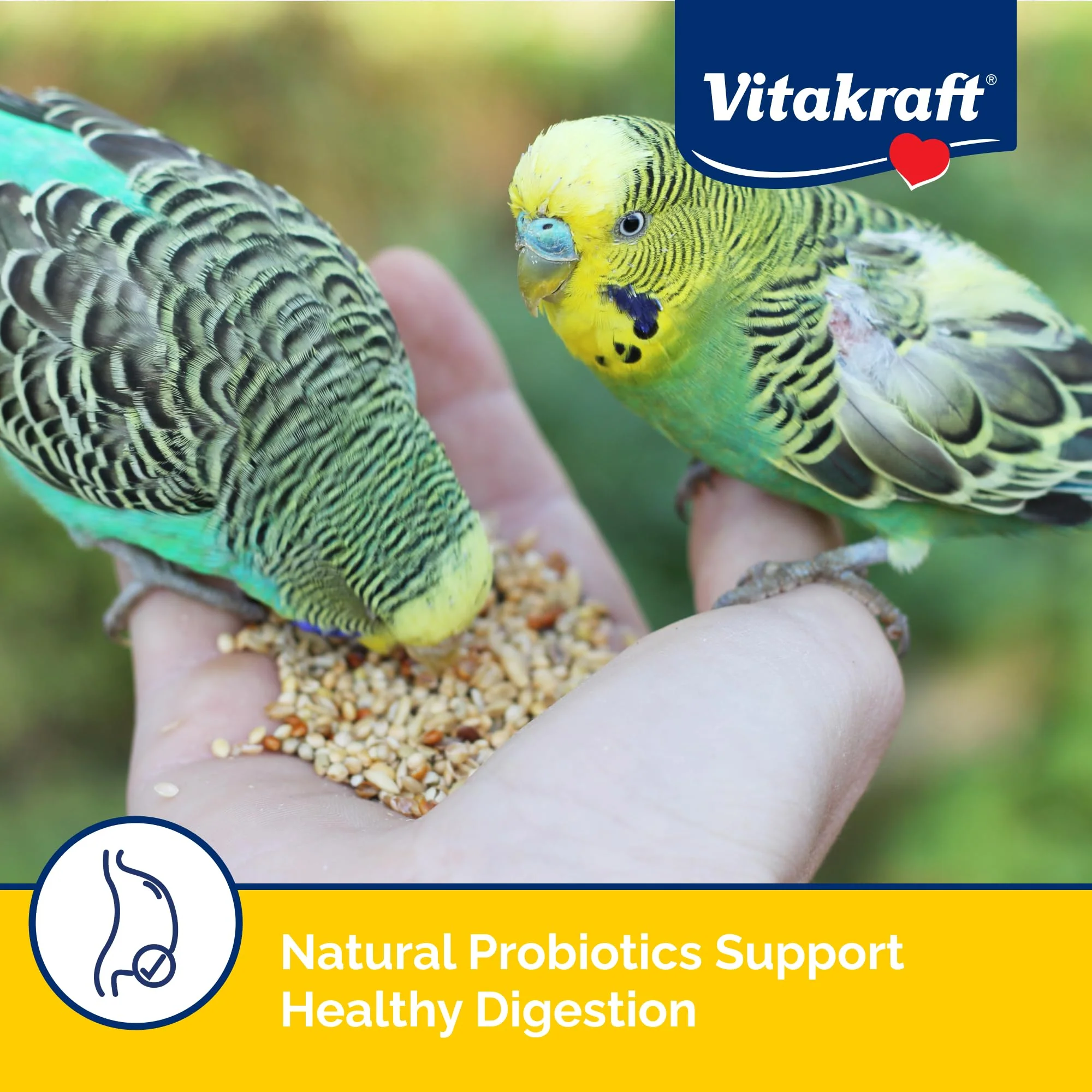 Vitakraft Menu Premium Parakeet Food - Vitamin-Fortified - Daily Pet Bird Food, 2.5 pounds - Image 8