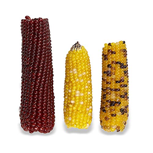 Vitakraft Mini-Pop Corn Cob Bird Treat 6 Ounce (Pack of 1) - Image 2