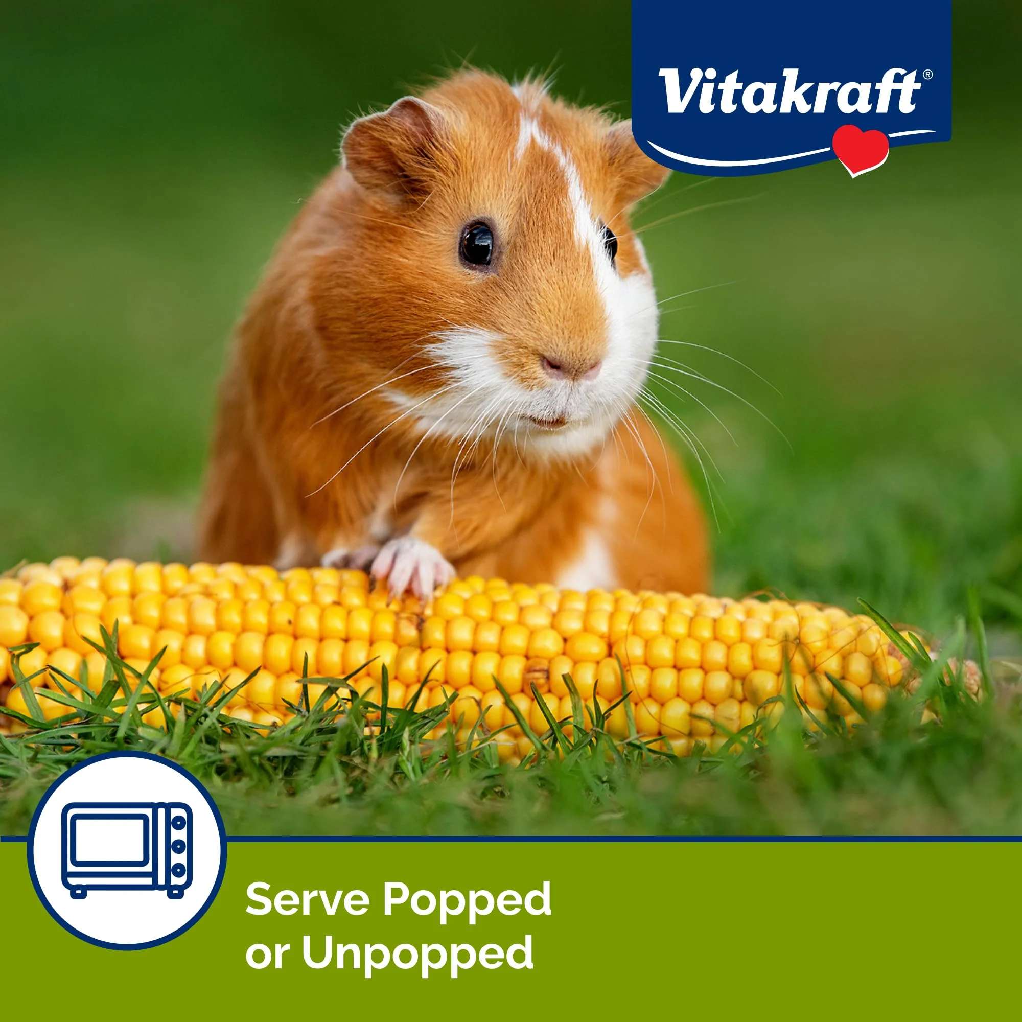 Vitakraft Mini-Pop Treat for Small Animals 6 oz – All-Natural Single-Ingredient Snack - Serve Popped or Unpopped – Enrichment, Chewing, Fun, Natural Teeth Wear – Rabbit, Hamster, Gerbil, Guinea Pig - Image 6