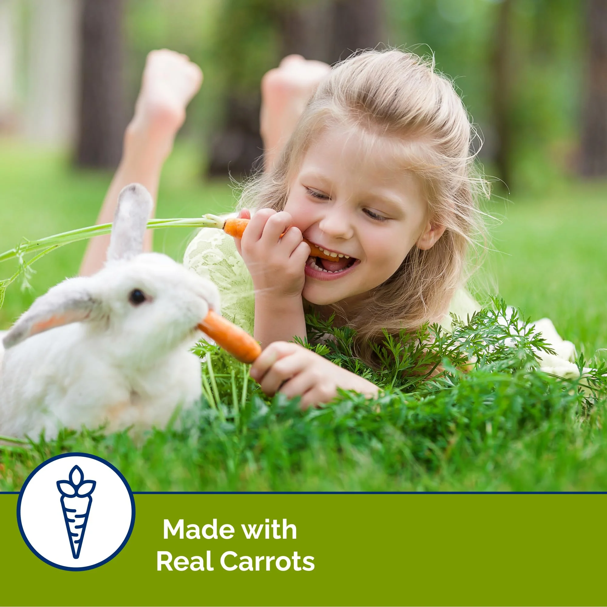 Vitakraft Slims Carrot Small Animal Treats – Light, Healthy Food Bites - Crispy Carrot Treats for Rabbits, Guinea Pigs, Hamsters & Chinchillas (10oz) - Image 7