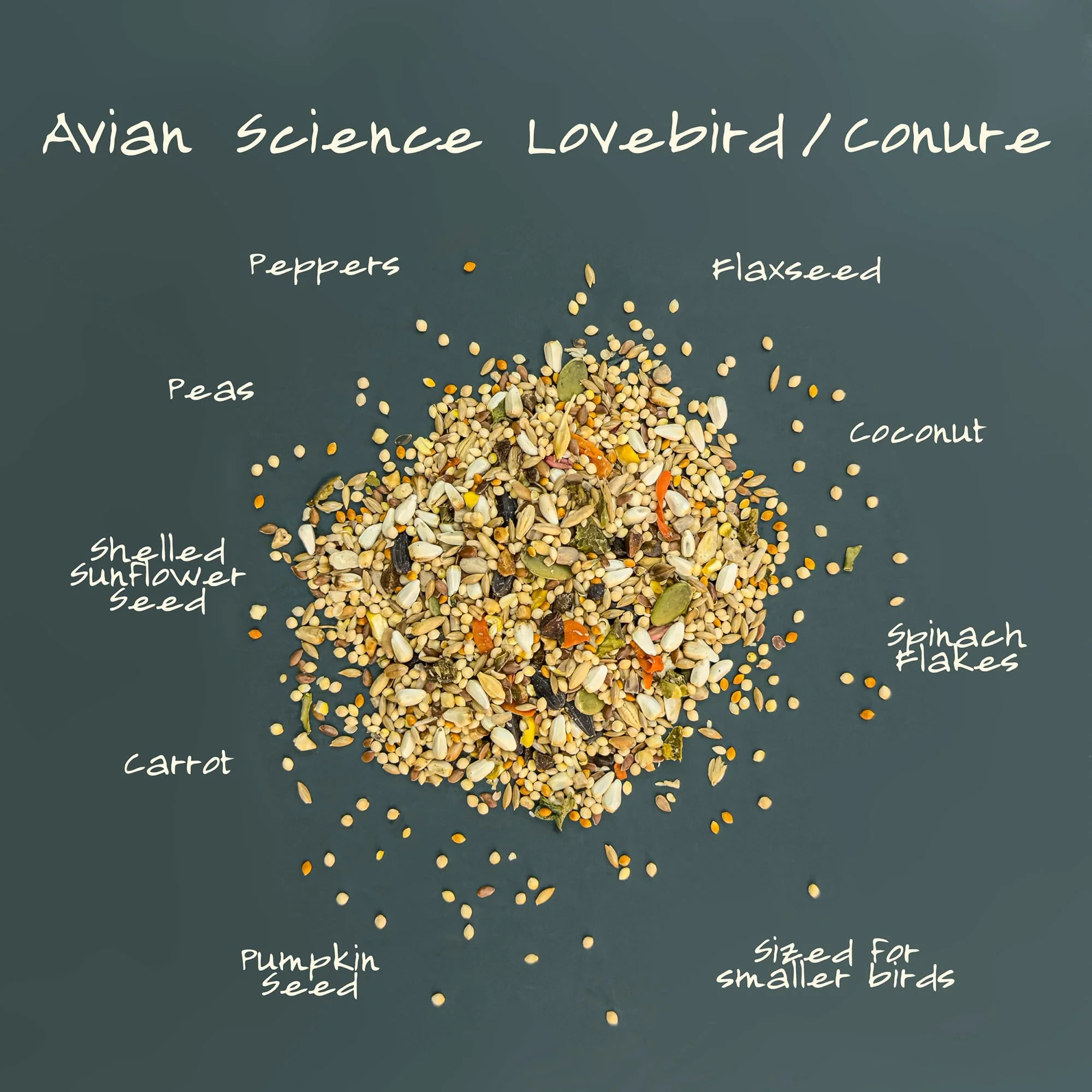 Volkman Avian Science Lovebird & Conure Bird Seed 4 Lb - Image 2