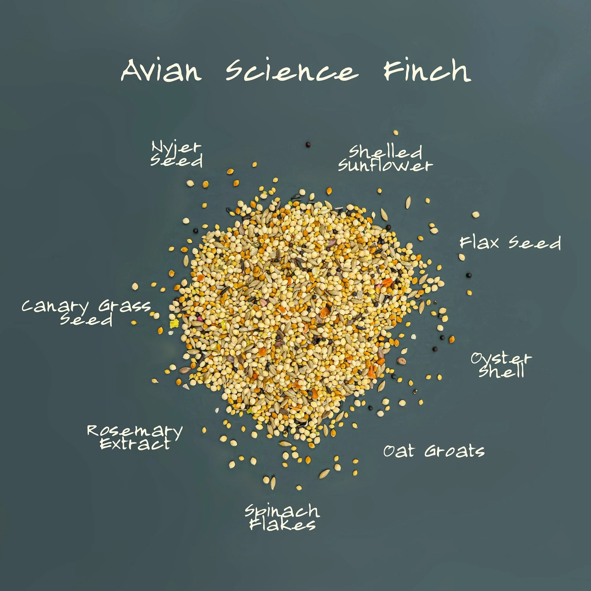 Volkman Avian Science Super Finch Bird Food 4lbs - Image 3