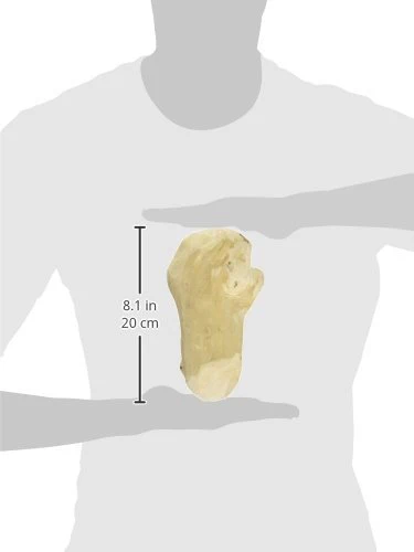 Ware Dog 089654 Gorilla Chew Natural, Medium, 1Piece - Image 2