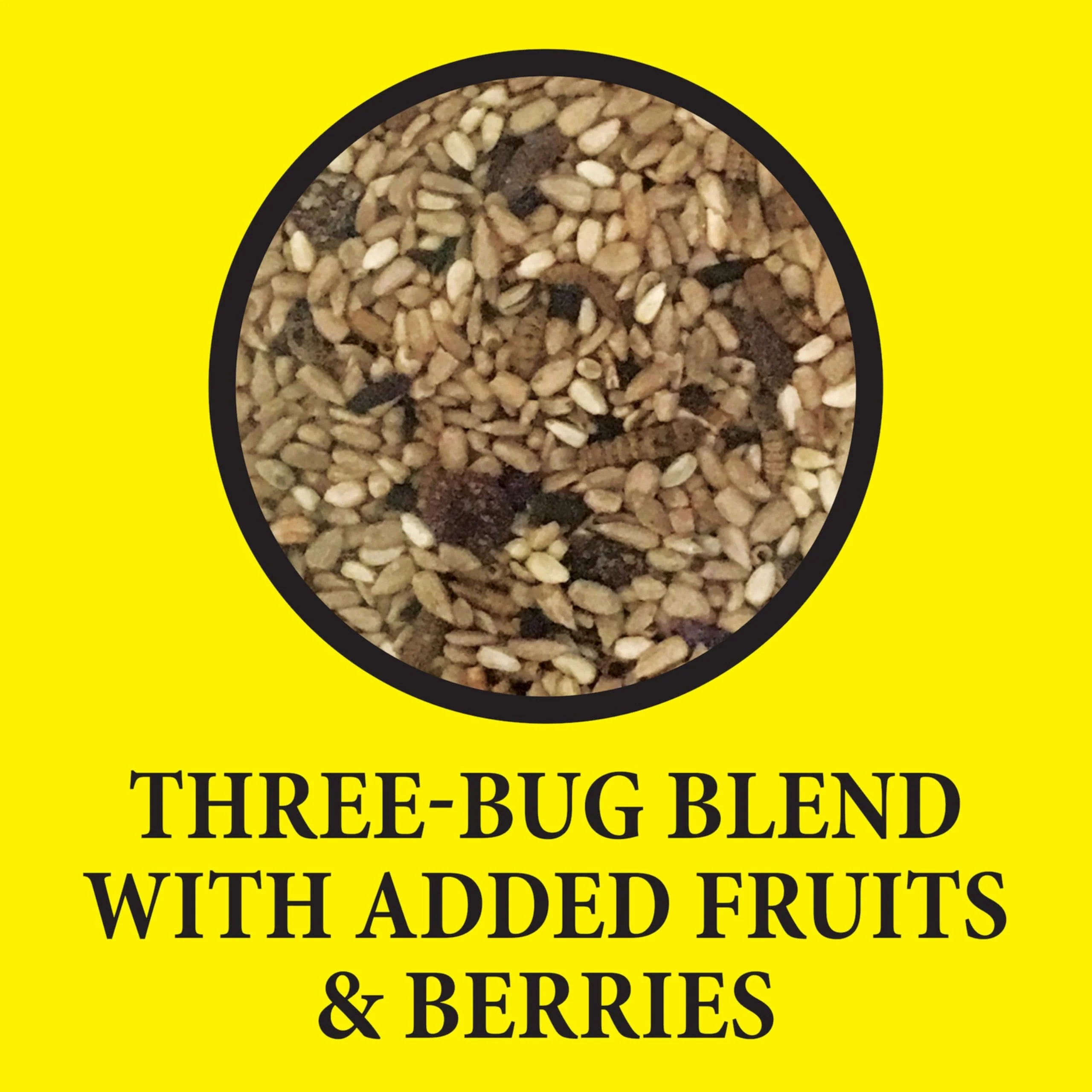 Wild Delight Advanced Formula Bugs N Berries Wild Bird Food 4.5 lbs - Image 3