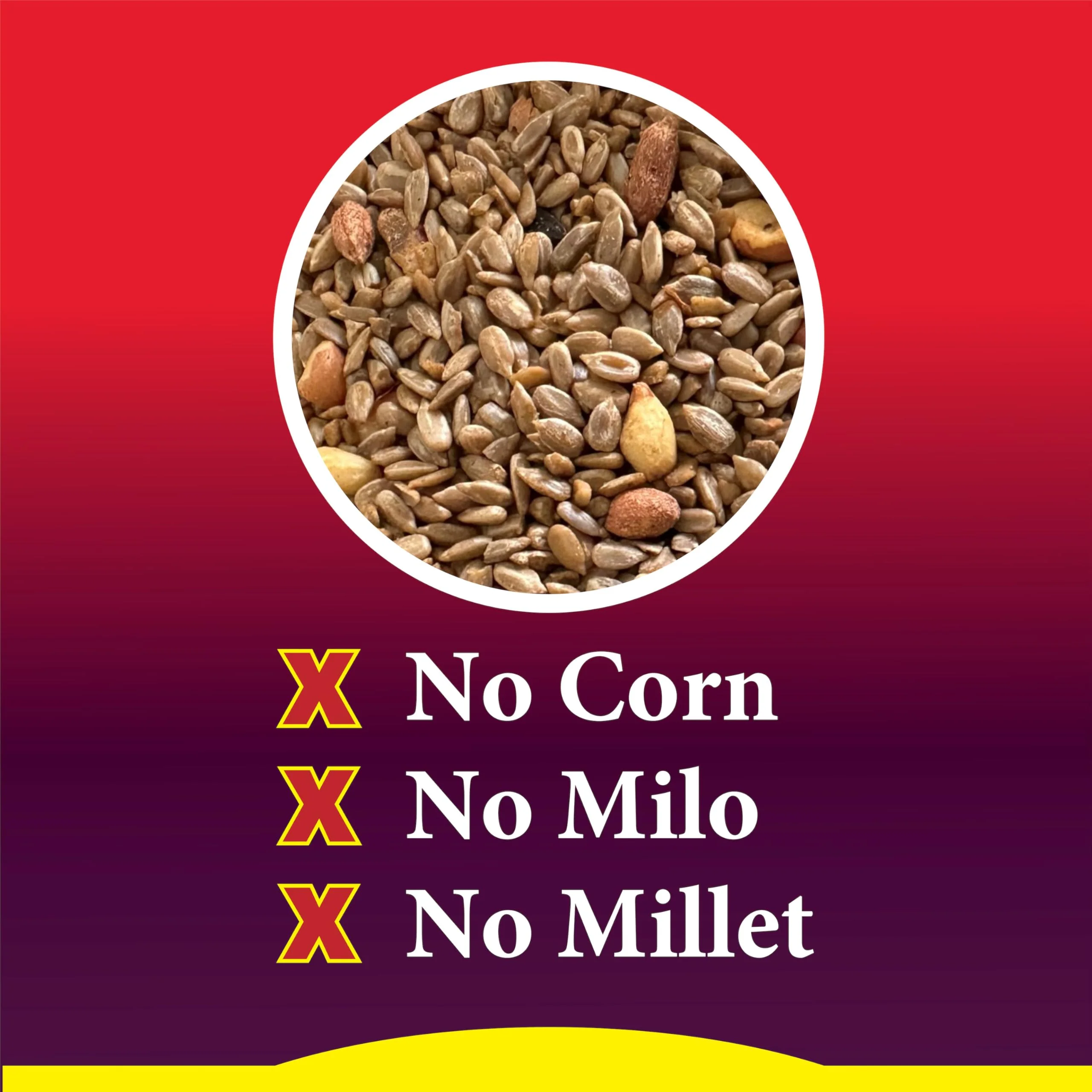 Wild Delight Advanced Formula Squirrel Away Zero Waste Wild Bird Food 5lbs - Image 6