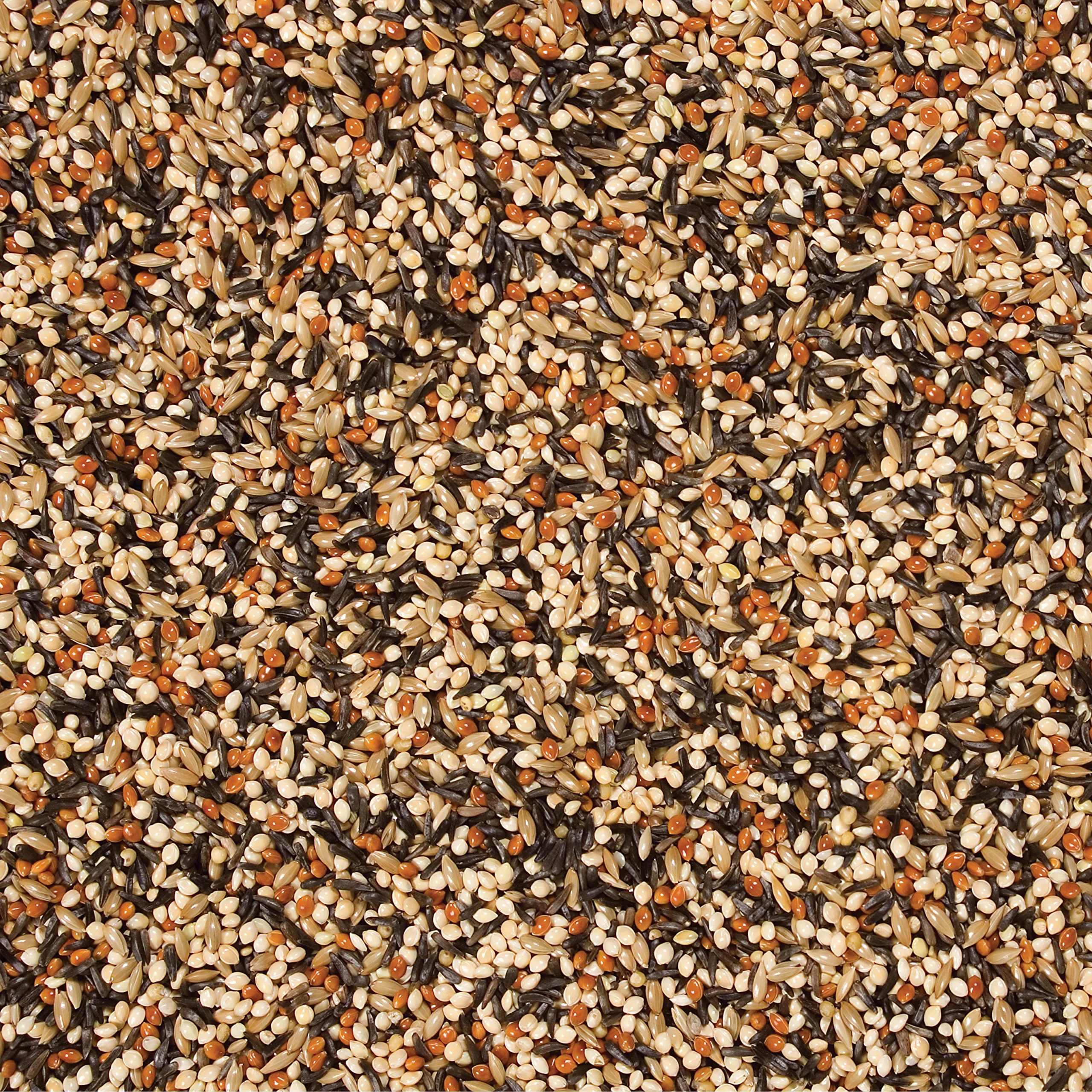 Wild Delight Outdoor Finch Food, 5 lb - Image 2