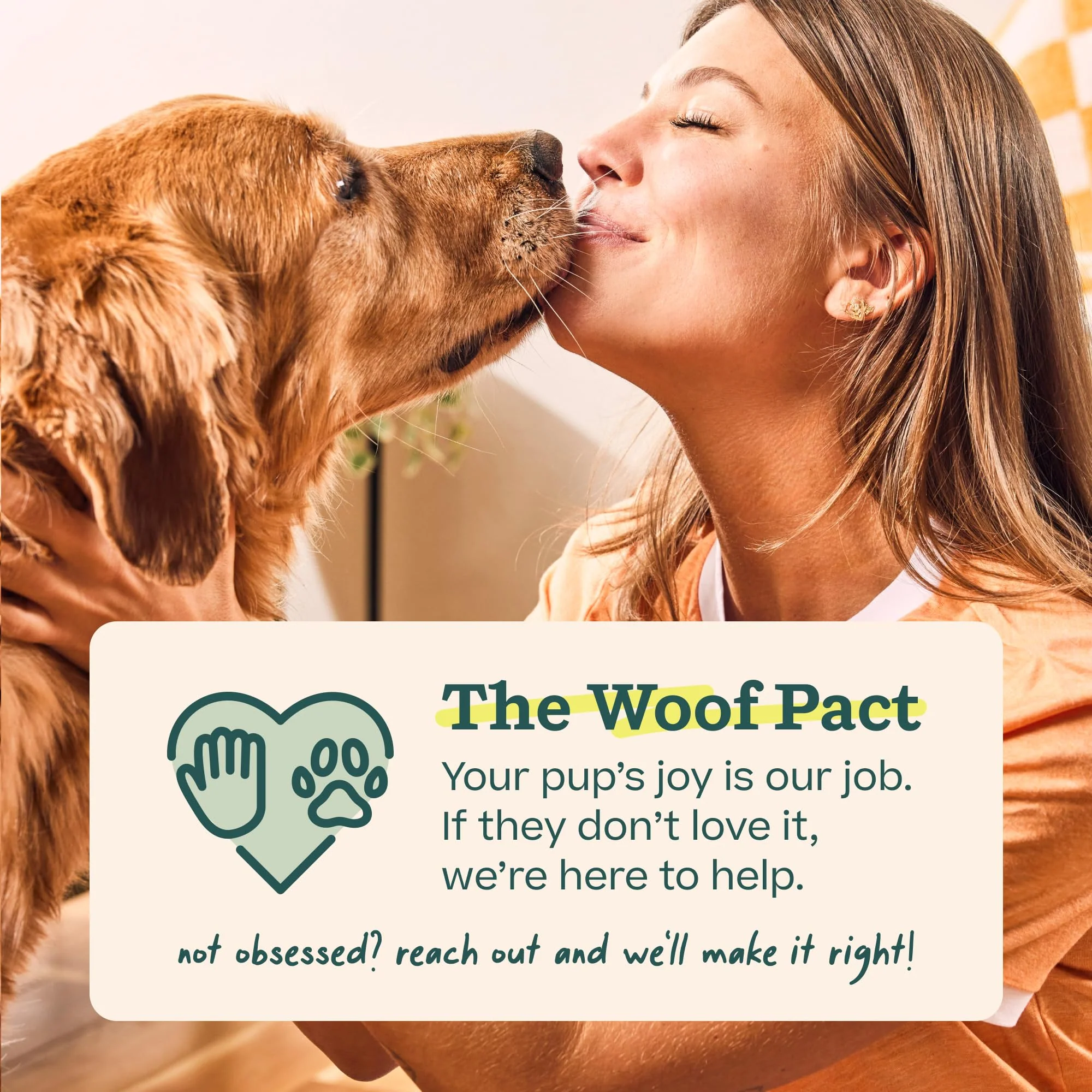WOOF Pupsicle Birthday Pops - Healthy Dog Treats - Pre-Made Pupsicle Refills- Wholesome Ingredients - Naturally Sweet - Cake-Flavored Birthday Treat for Dogs - Large - Image 2