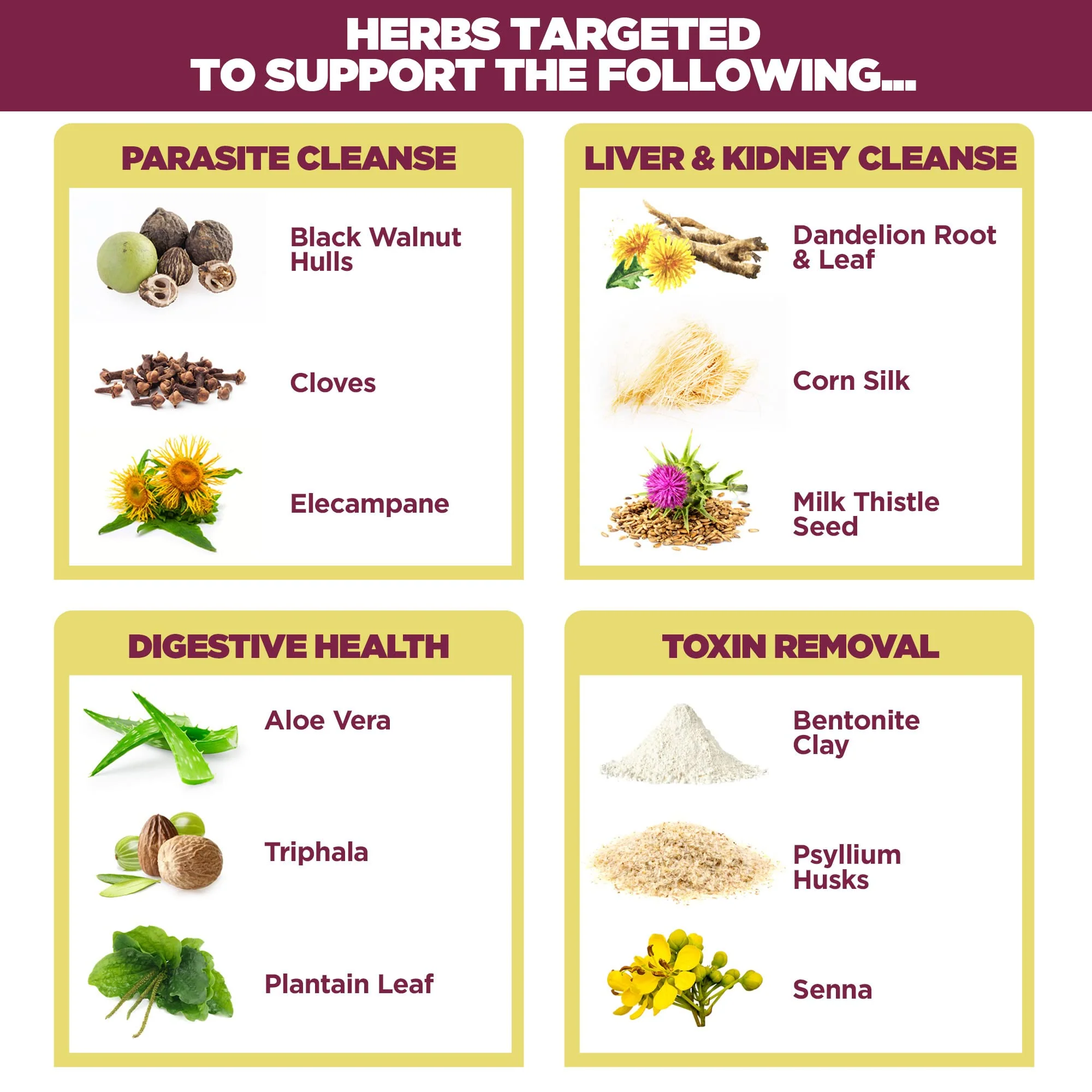 Yerba Prima Women’s Renew Internal Cleansing System - 30 Day Cleanse and Detox Kit - Female Detoxifying Herbal Support Supplements - Image 8