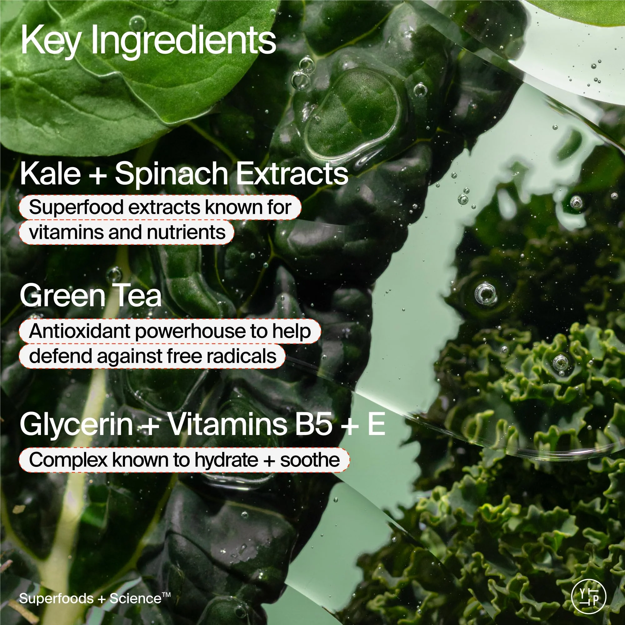 Youth To The People Superfood Facial Cleanser Full Size - Kale + Green Tea Daily Face Wash, Gentle Makeup Remover, with Soothing Antioxidants for Glowing Skin, pH Balance, Clean Pores – 8 fl oz - Image 12