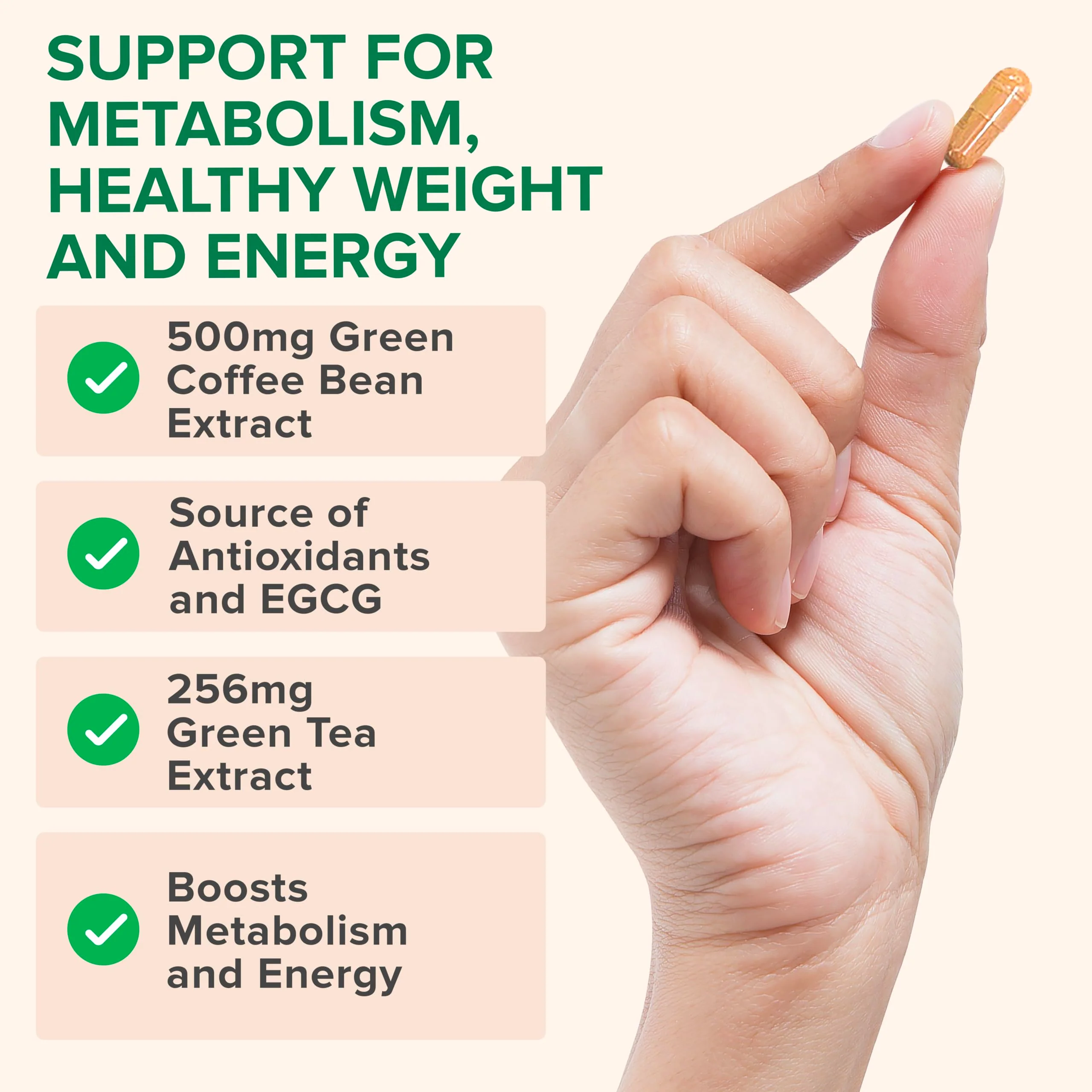 Zenwise Health EGCG Green Tea Extract Capsules with Coffee Bean Extract - 50% EGCG + 98% Polyphenols Supplement - Green Tea Pills for Skin and Heart Support + Brain Health and Memory Boost - 60 Count - Image 4