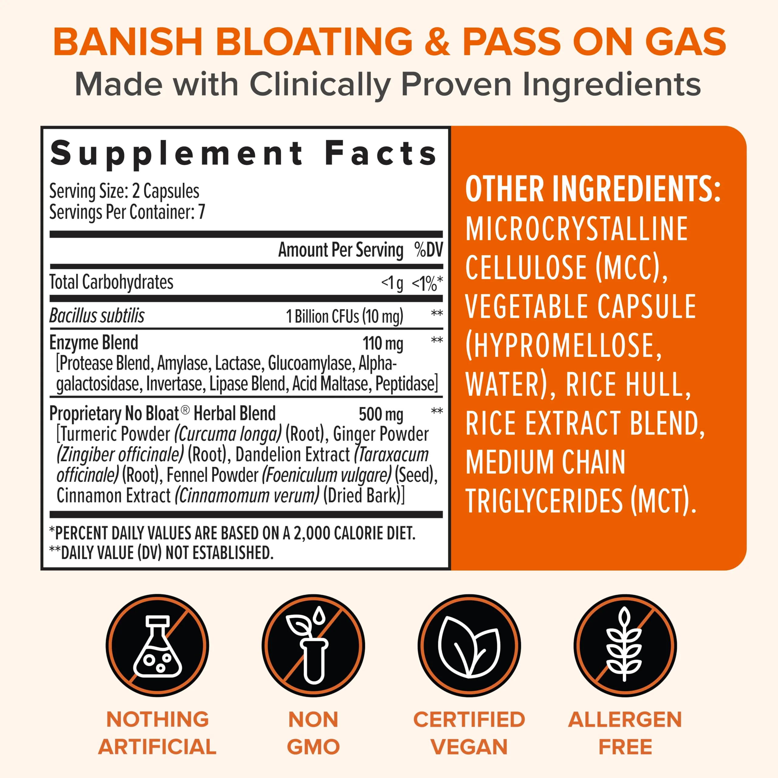 Zenwise Health No Bloat Probiotics for Women and Men Digestive Health with Ginger, Dandelion, and Lactase, Digestive Enzymes for Gas and Bloating Relief - Vegan Water Retention Pills - 14 CT - Image 3