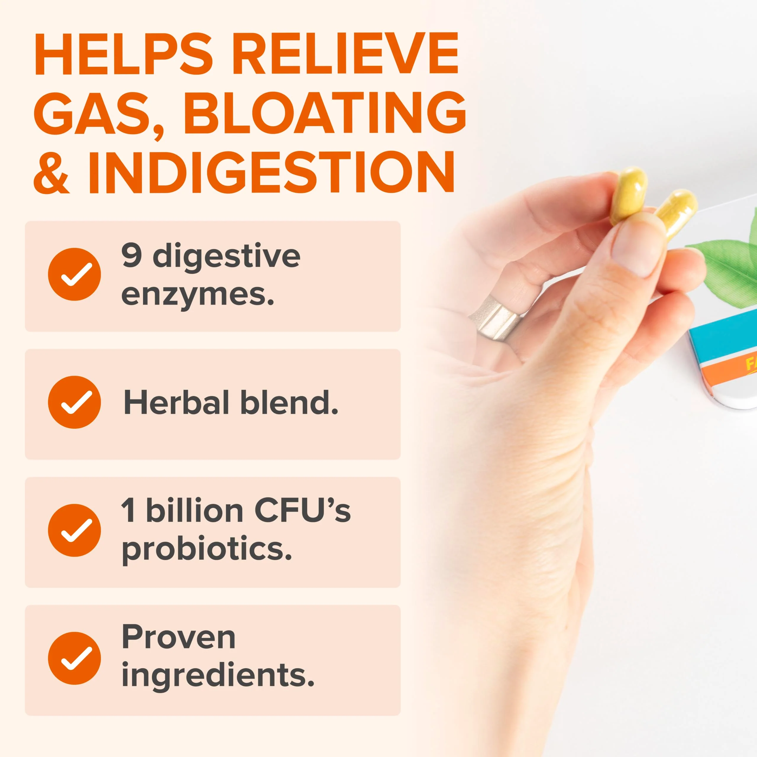 Zenwise Health No Bloat Probiotics for Women and Men Digestive Health with Ginger, Dandelion, and Lactase, Digestive Enzymes for Gas and Bloating Relief - Vegan Water Retention Pills - 14 CT - Image 4
