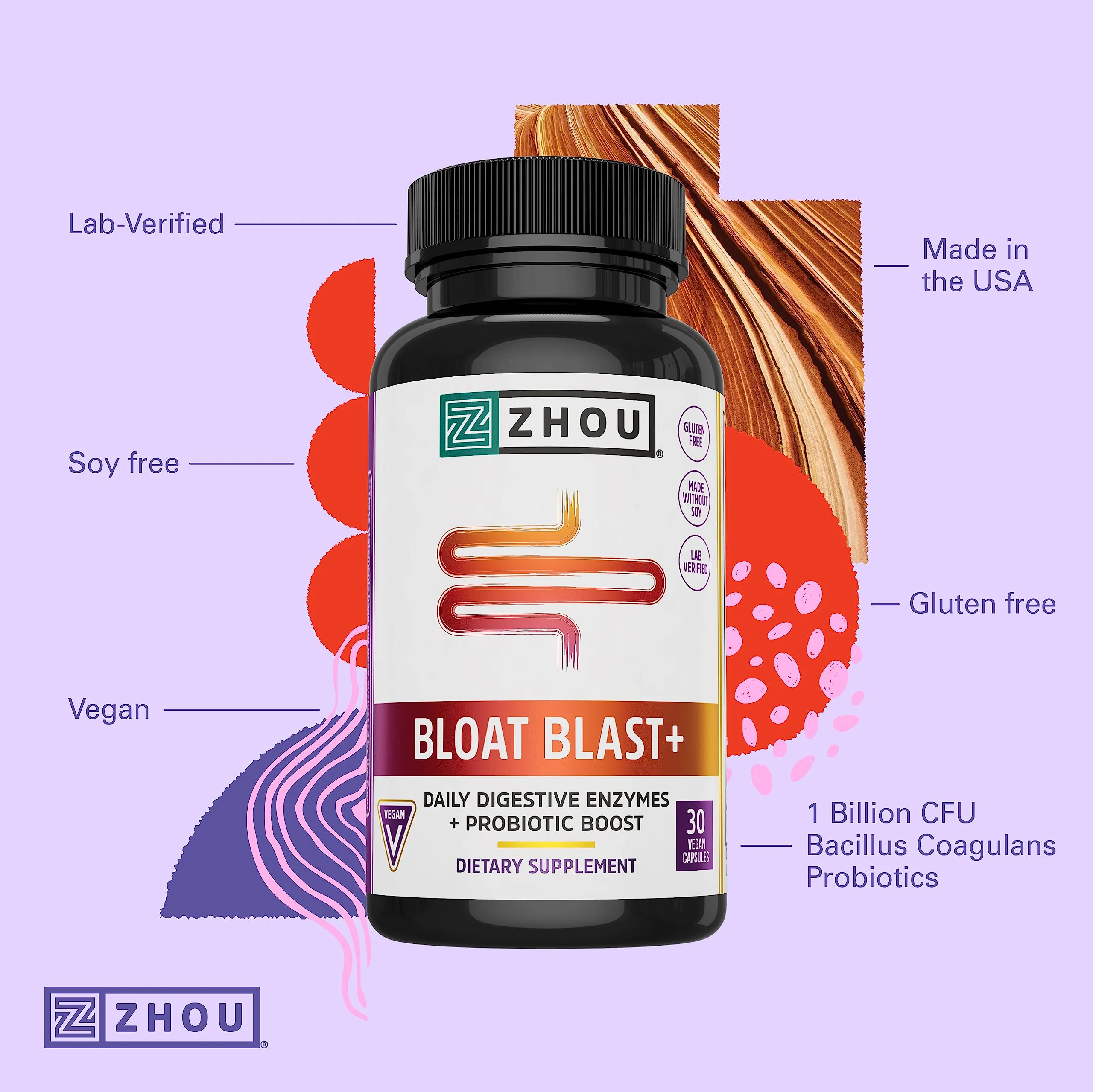 Zhou Nutrition Bloat Blast+ - Digestive Support Supplement for Women & Men, Daily Digestive Enzymes with Probiotics for Gut Health, Gluten Free, Vegan - 30 Veggie Capsules - Image 3
